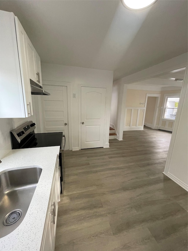 kitchen with light stone counters, under cabinet range hood, a sink, wood finished floors, and white cabinets