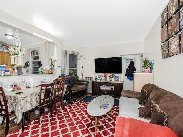 living room featuring wood finished floors