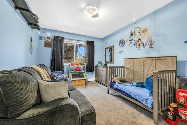 bedroom with carpet floors