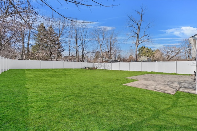 view of yard featuring a patio and a fenced backyard