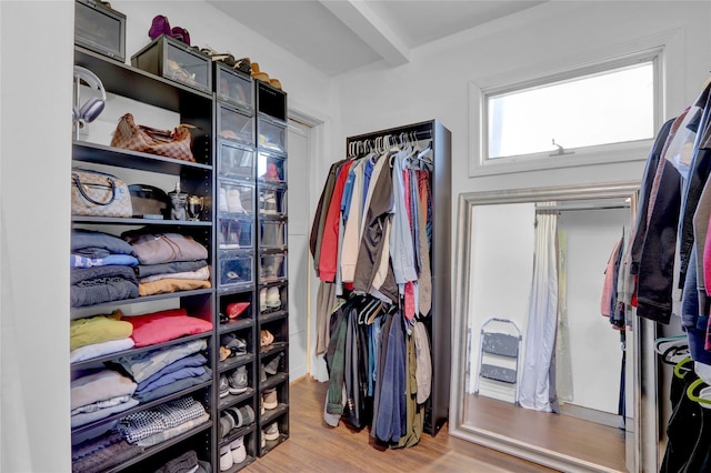 spacious closet featuring wood finished floors