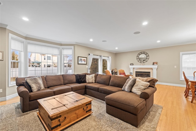 living area with light wood finished floors, ornamental molding, and a glass covered fireplace