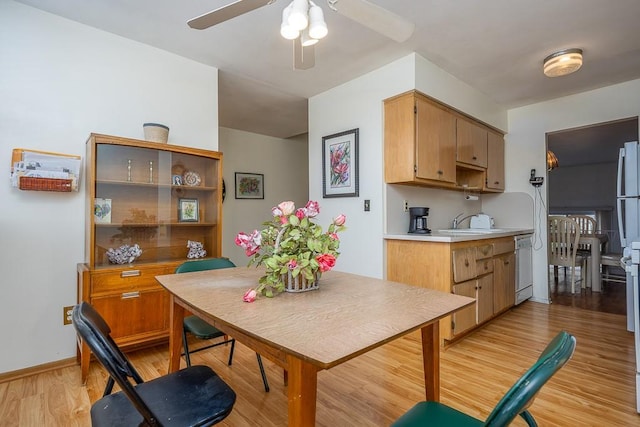 kitchen featuring a ceiling fan, white dishwasher, light countertops, light wood-style floors, and a sink