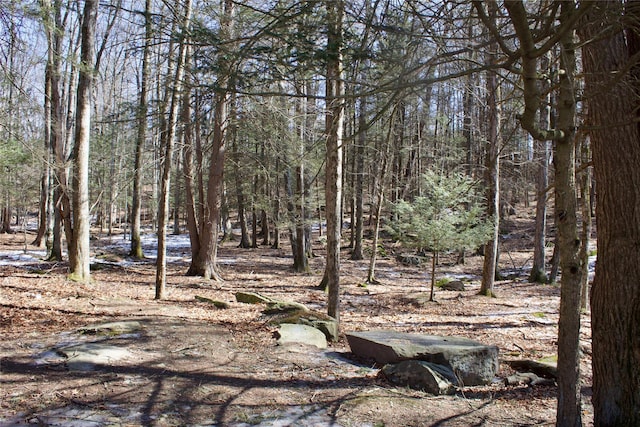 view of landscape