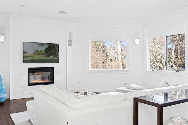 living area featuring a large fireplace, ornamental molding, a wealth of natural light, and dark wood-type flooring