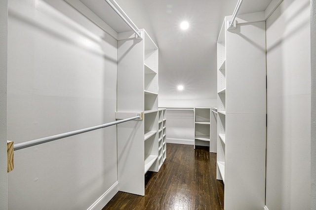 spacious closet featuring dark wood finished floors