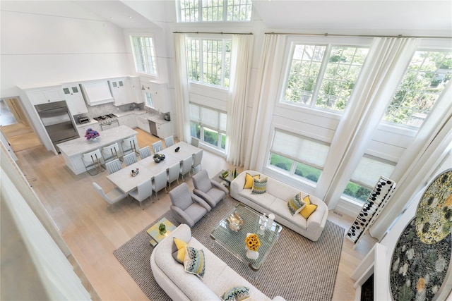 living area featuring light wood finished floors