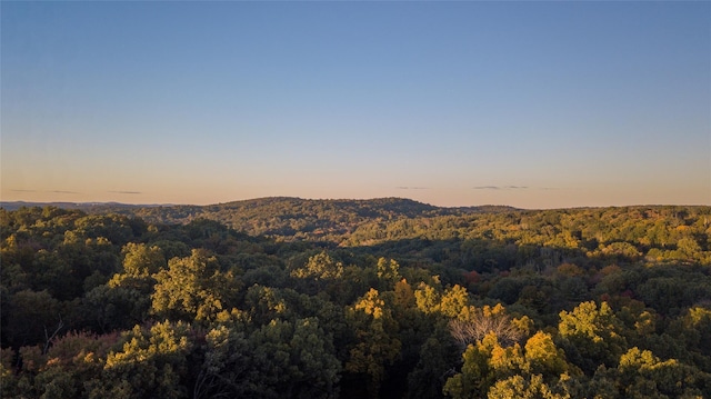 property view of mountains featuring a forest view