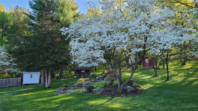 view of yard with an outdoor structure, fence, and a storage shed