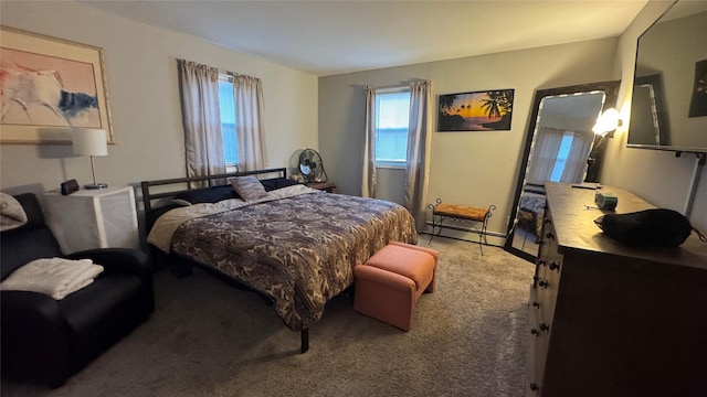 bedroom with carpet, multiple windows, and a baseboard radiator