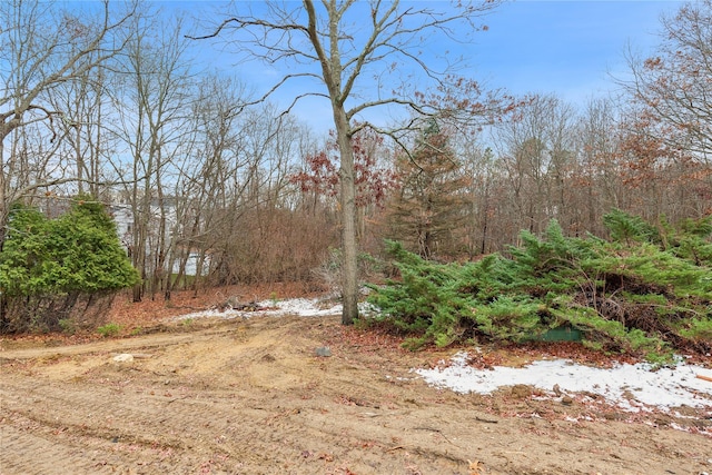 view of yard featuring a view of trees