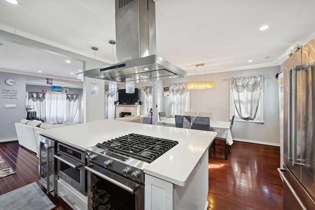 kitchen featuring stainless steel appliances, island exhaust hood, dark wood finished floors, and crown molding