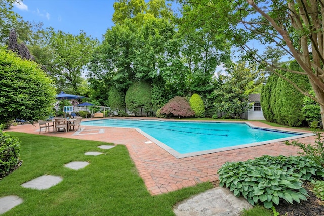 2 Aspen Pl, Great Neck, NY 11021 - swimming pool with a yard, a patio area, an outbuilding, and view of scattered trees