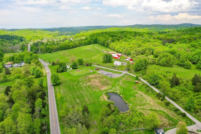 148 N Creek Rd, Staatsburg, NY 12580 - aerial view of a heavily wooded area
