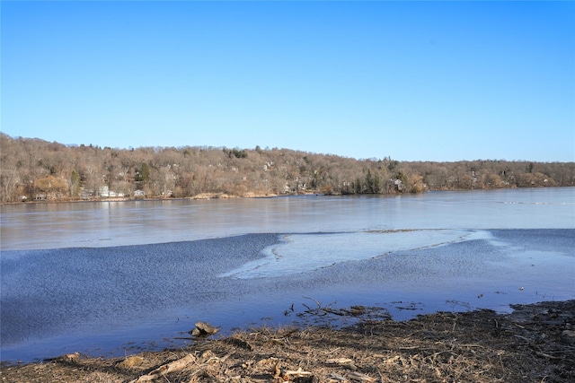 property view of water with a forest view