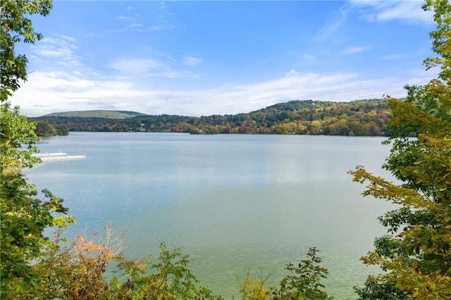 view of water feature with a wooded view