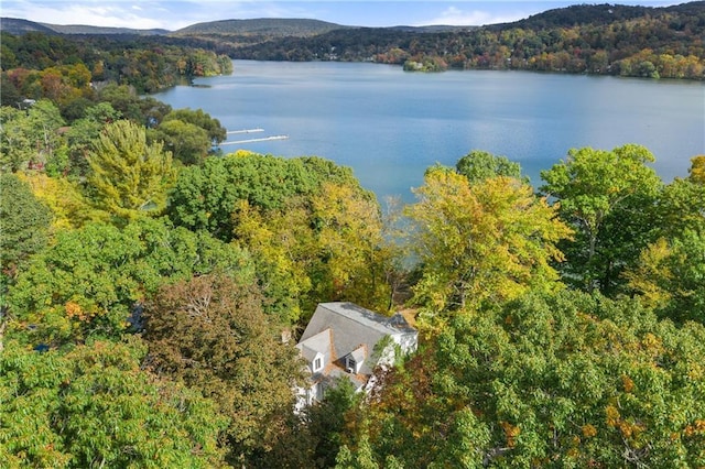 bird's eye view featuring a wooded view and a water view