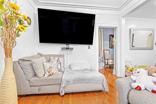 living area featuring light wood finished floors