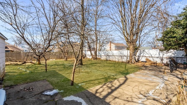 view of yard with a fenced backyard and a patio