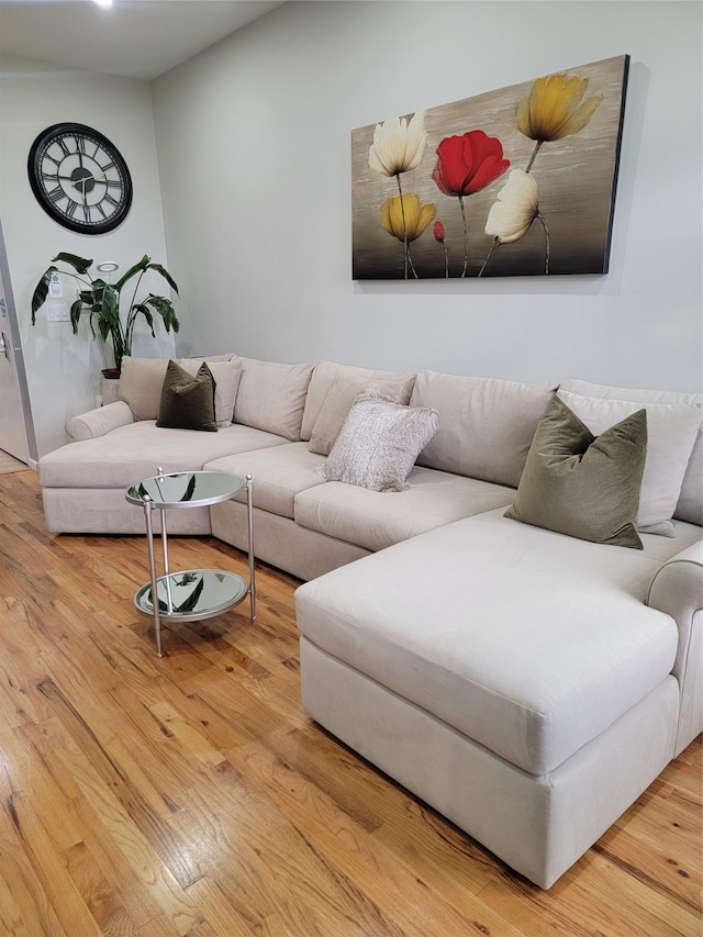 living room featuring wood finished floors