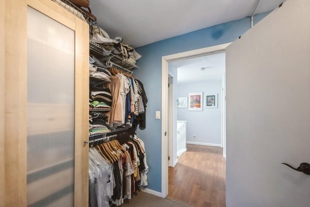 walk in closet featuring wood finished floors