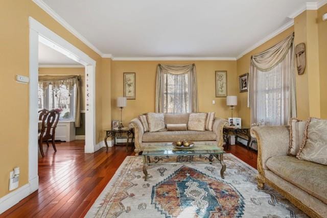 living area featuring wood-type flooring, crown molding, and baseboards