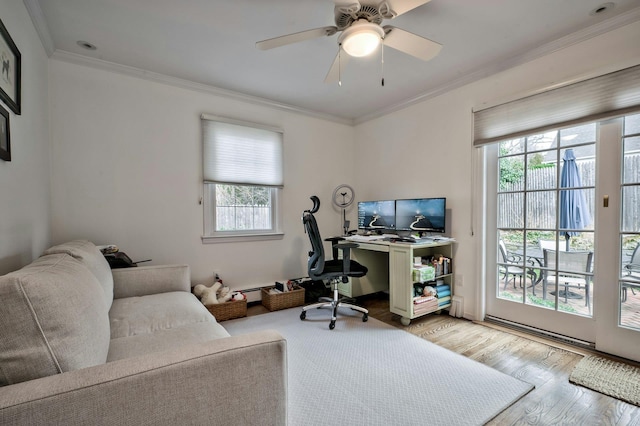 home office featuring ornamental molding, a ceiling fan, and wood finished floors