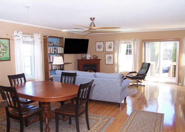 dining space featuring a warm lit fireplace, crown molding, a ceiling fan, and light wood-style floors