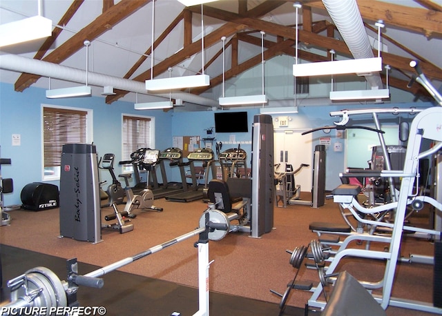 exercise room featuring high vaulted ceiling