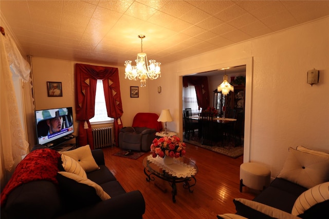 living room with radiator, an inviting chandelier, and hardwood / wood-style floors