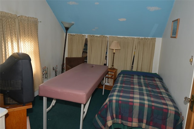 bedroom with lofted ceiling and carpet floors