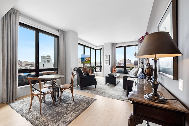 living area featuring light wood-style floors