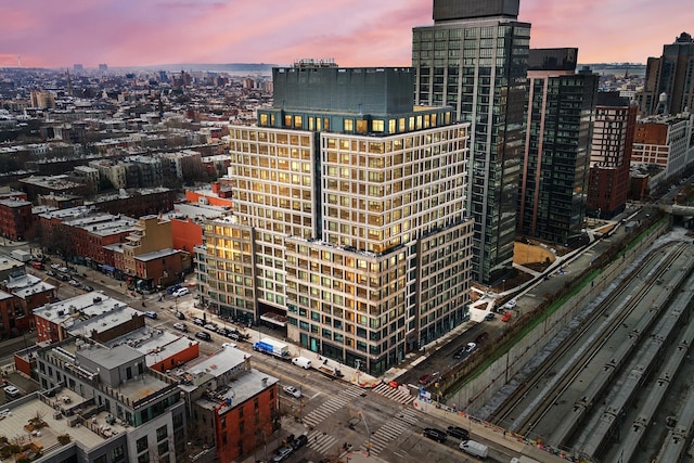 550 Vanderbilt Ave Unit 725, Brooklyn, NY 11238 - view of city
