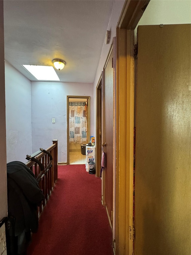 hallway featuring carpet flooring and a skylight