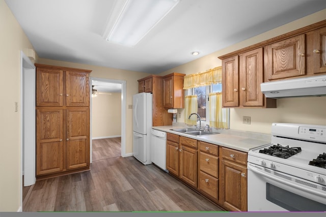 kitchen with a sink, under cabinet range hood, white appliances, brown cabinetry, and dark wood-style flooring