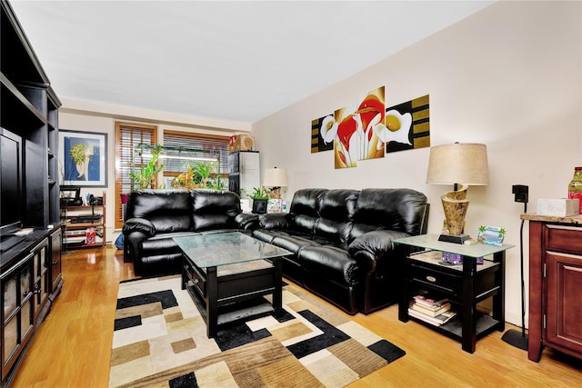 living room with light wood-type flooring