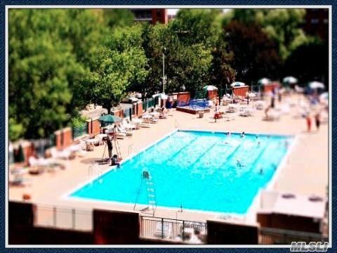 view of swimming pool with a patio area and fence