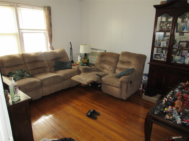 living area with dark wood-style flooring