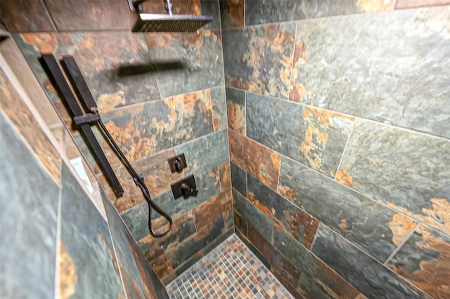 interior details with tiled shower