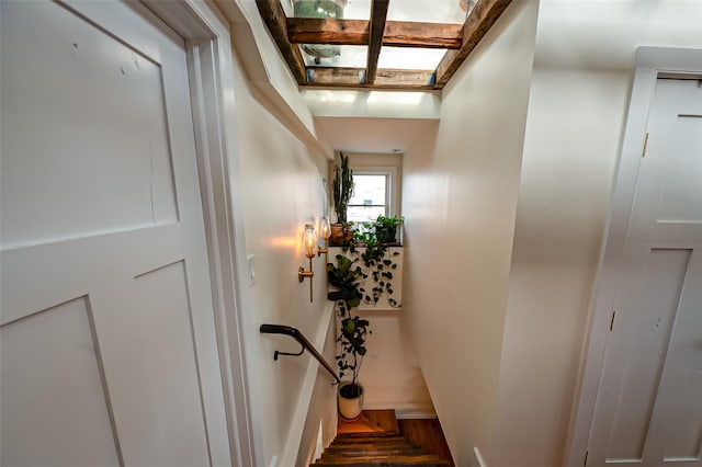 staircase featuring a skylight