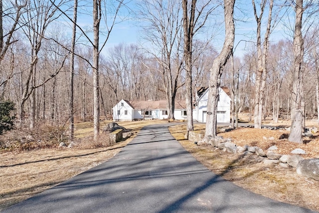 view of road featuring aphalt driveway