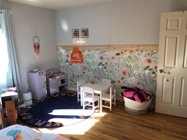 recreation room featuring wood finished floors