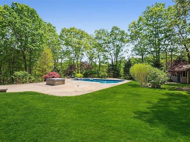 view of yard with a patio area and an outdoor pool