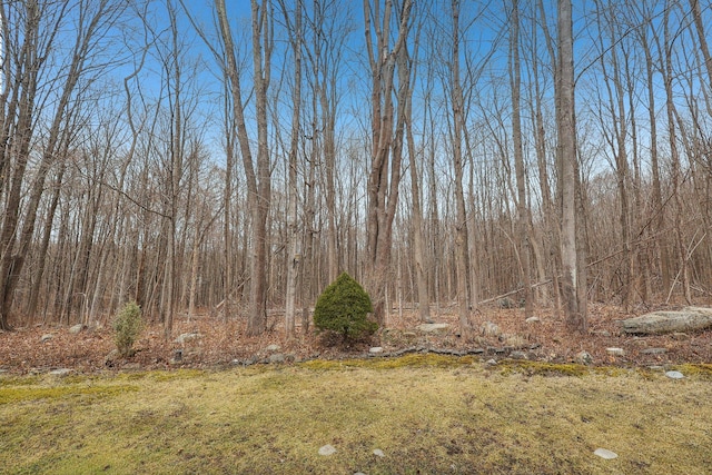 view of yard with a forest view