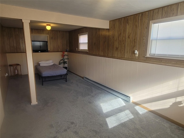 interior space featuring carpet floors, wooden walls, and baseboard heating