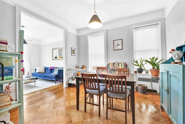 dining space featuring radiator heating unit