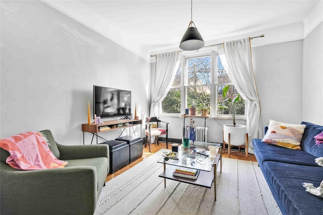 living area featuring radiator heating unit and wood finished floors