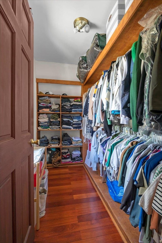 walk in closet featuring wood finished floors