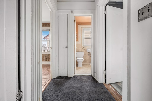 hall featuring a healthy amount of sunlight, dark colored carpet, tile walls, and wainscoting