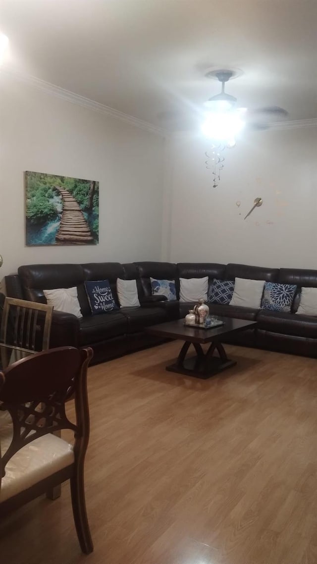 living room with crown molding and light wood-style flooring